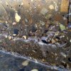 Дефекты бетонного основания перед шпатлеванием